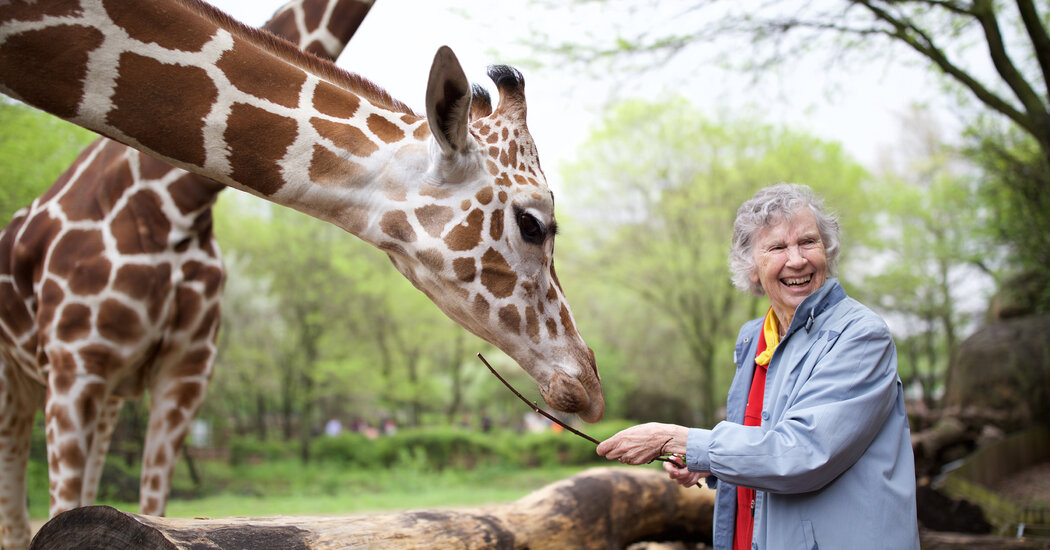 Anne Innis Dagg, che studiò le giraffe in natura, muore a 91 anni