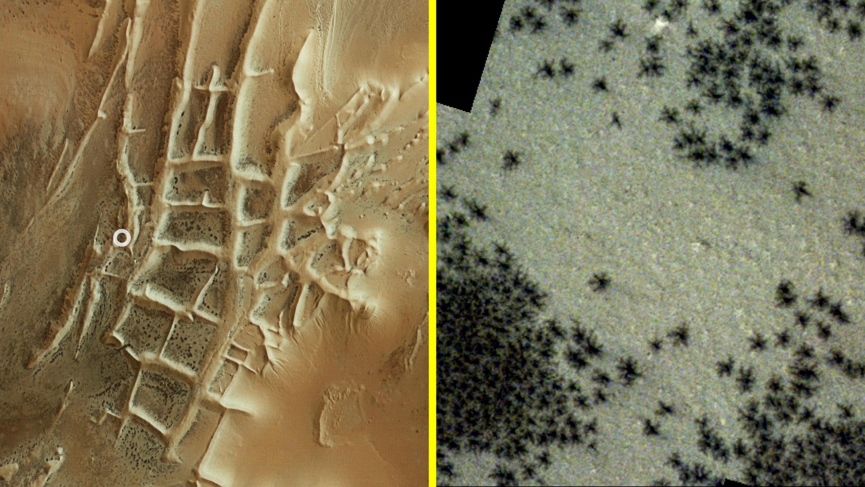 Centinaia di “ragni” neri avvistati nella misteriosa “Città Inca” su Marte in nuove foto satellitari