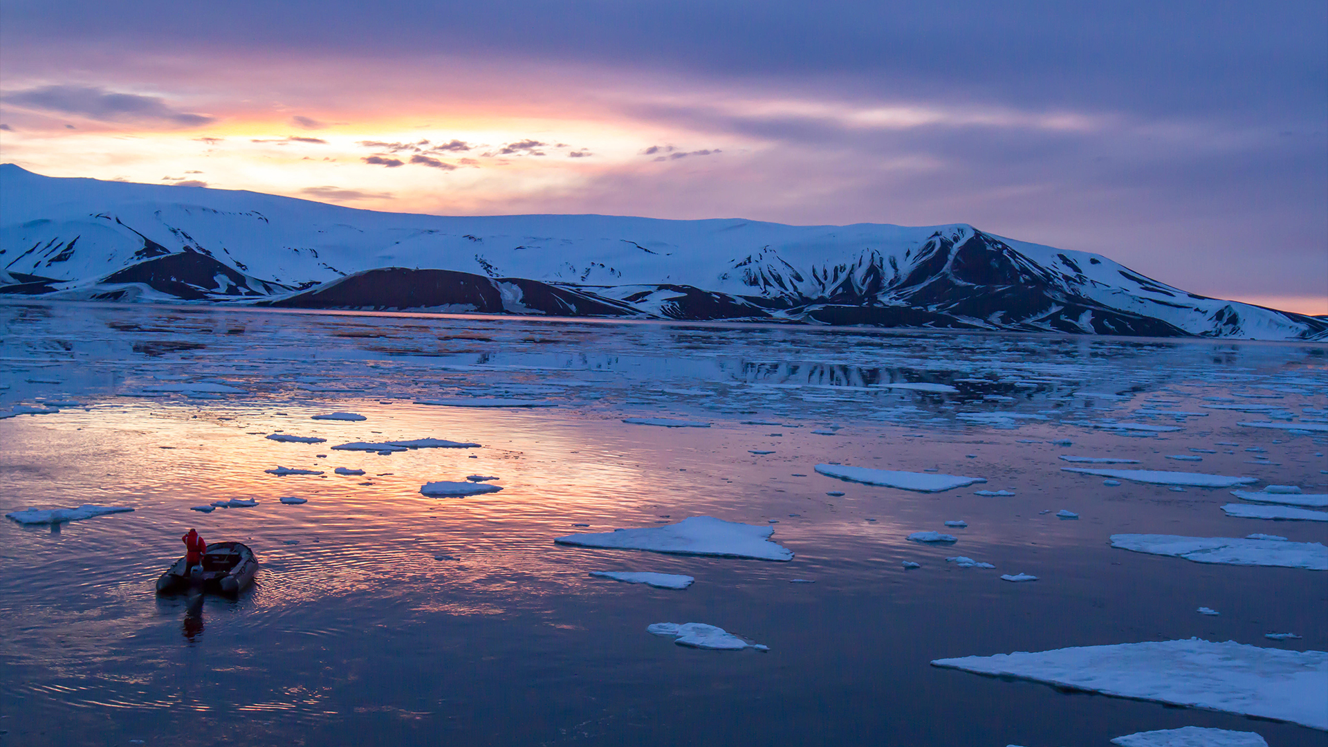 “Eravamo increduli”: l’Antartide si sta comportando in un modo mai visto prima.  Può recuperare?