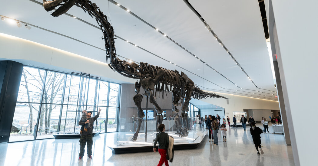 Il Museo di Storia Naturale di Cleveland cerca nuovi modi per coinvolgere i visitatori