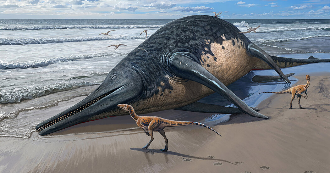 Il fossile ritrovato da una bambina di 11 anni è il più grande rettile oceanico conosciuto