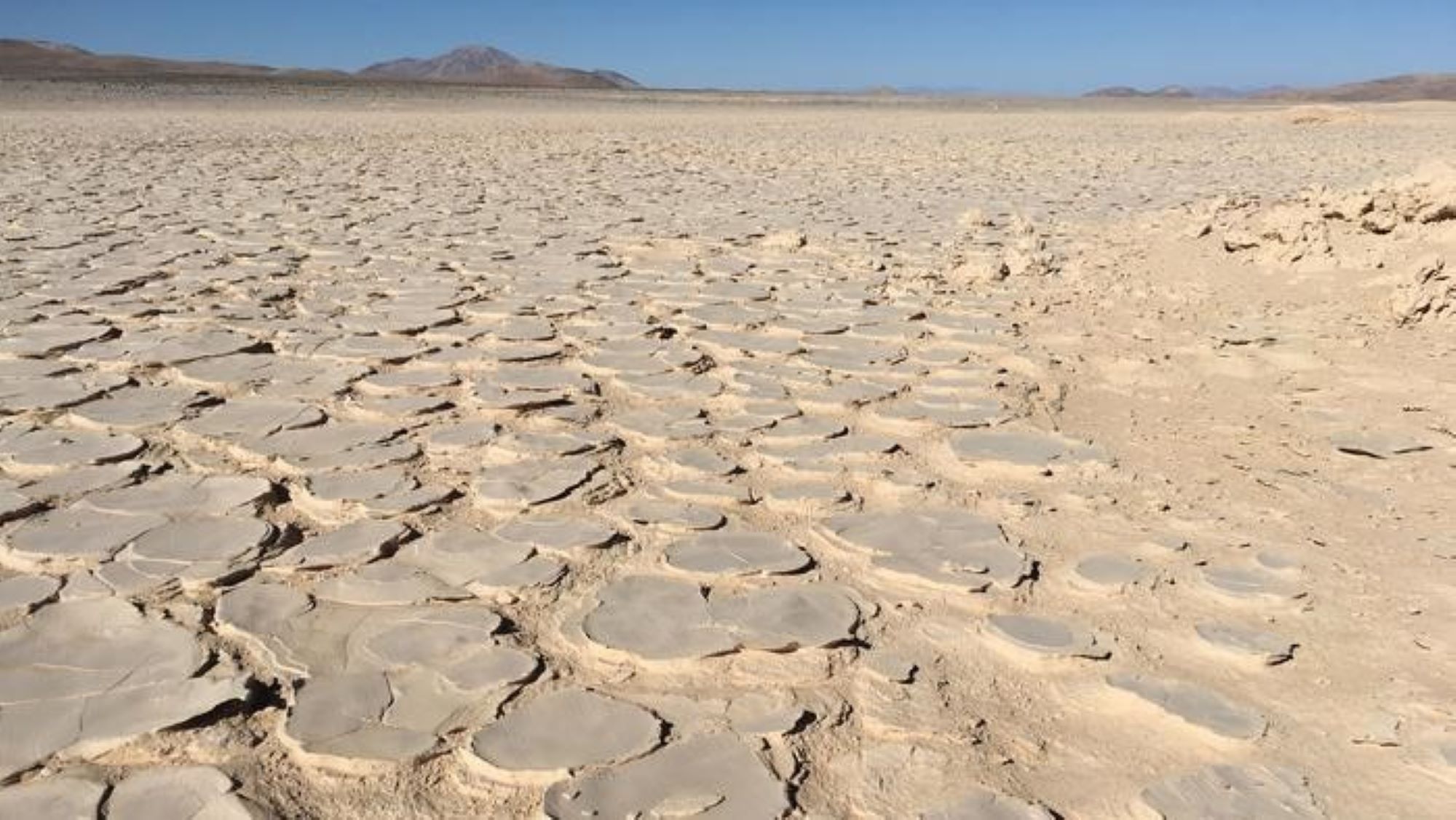La “biosfera” nascosta di microbi estremi scoperta a 13 piedi sotto il deserto di Atacama è la più profonda trovata lì fino ad oggi