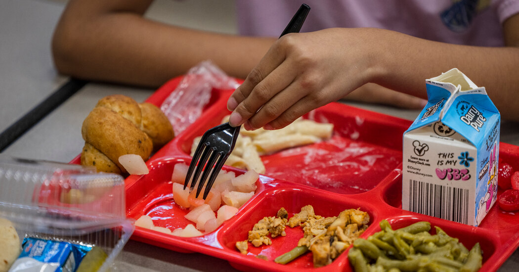 Le nuove linee guida nutrizionali mettono meno zucchero e sale nel menu dei pasti scolastici